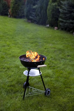 ateş, sıcak ızgara