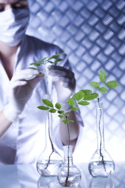 bir test tüpünde bilim adamının elinde bitki