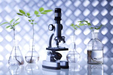 Kimya donatım, bitkiler Laboratuar kapkacakları