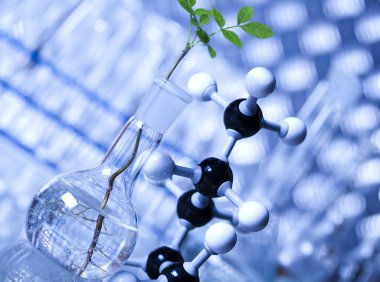 flora laboratuvarda deneme