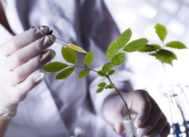 güneş ışığı kırmızı, mor, yeşil grunge doku, suluboya sorunsuz