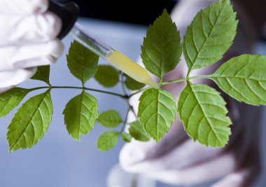 güneş ışığı kırmızı, mor, yeşil grunge doku, suluboya sorunsuz