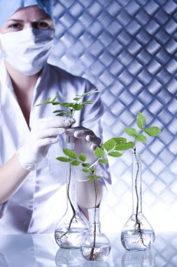 bir test tüpünde bilim adamının elinde bitki