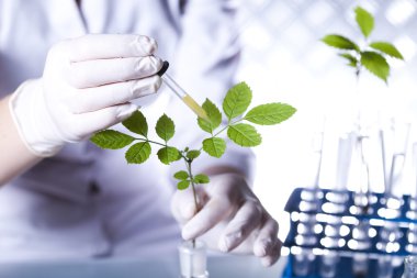 güneş ışığı kırmızı, mor, yeşil grunge doku, suluboya sorunsuz