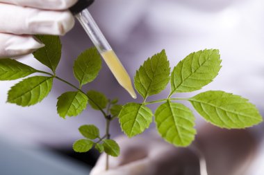 güneş ışığı kırmızı, mor, yeşil grunge doku, suluboya sorunsuz