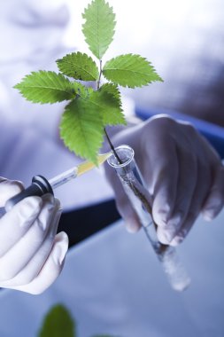 güneş ışığı kırmızı, mor, yeşil grunge doku, suluboya sorunsuz