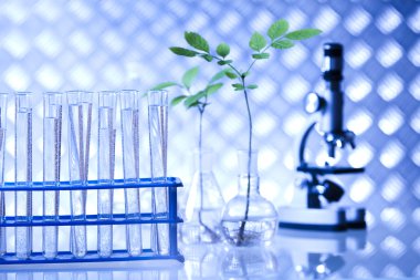 Kimya donatım, bitkiler Laboratuar kapkacakları