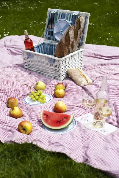 Picknick i gräset — Stockfoto