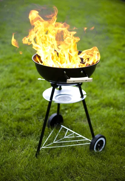 Tűz, forró grillezés — Stock Fotó
