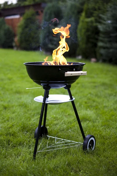 火，热烧烤 — 图库照片
