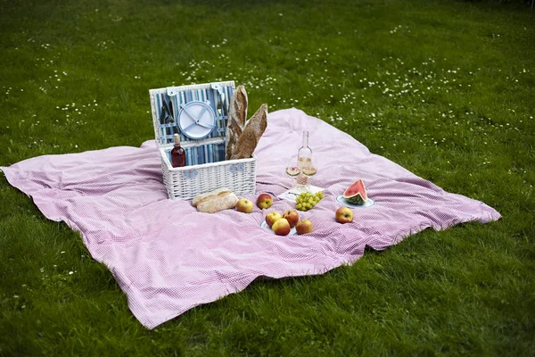 Picknick i gräset — Stockfoto