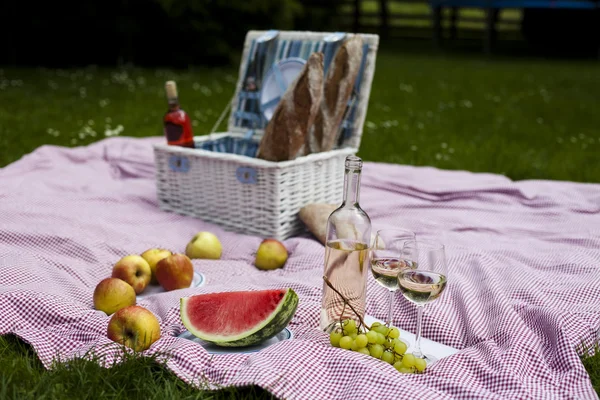 Picnic on the grass — Stock Photo, Image