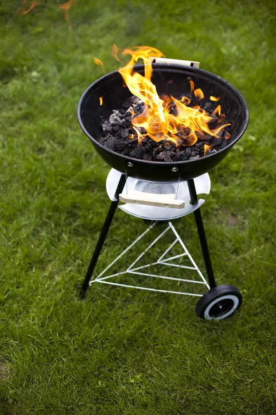 Grill .Fire — Stock Photo, Image