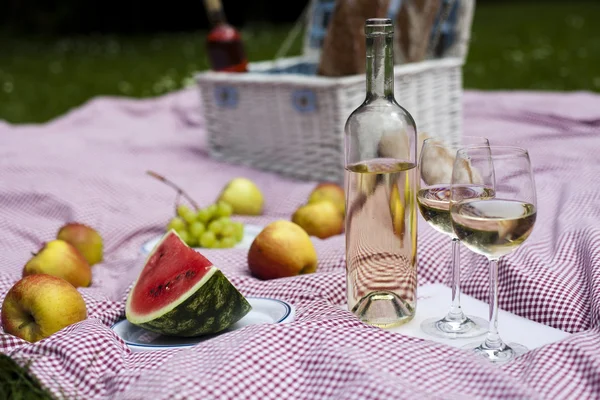 Picknick, grillen tijd, grill — Stockfoto