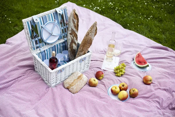 Picknick, Grillzeit, Grillen — Stockfoto