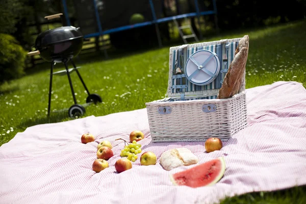 Piknik, grilování, gril — Stock fotografie