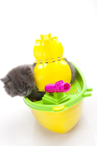 Kitten on yellow boat — Stock Photo, Image