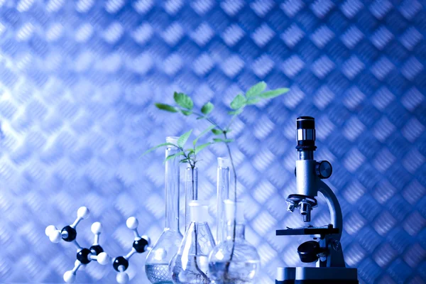 Equipos de química, cristalería de laboratorio de plantas — Foto de Stock