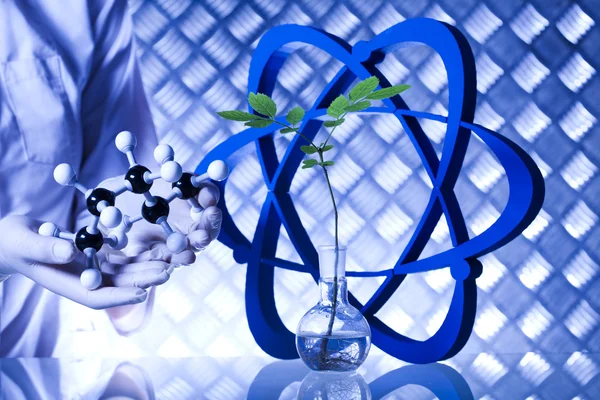 Pflanze im Reagenzglas in den Händen des Wissenschaftlers — Stockfoto