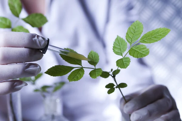 Pipetta di laboratorio in mano scienziato — Foto Stock