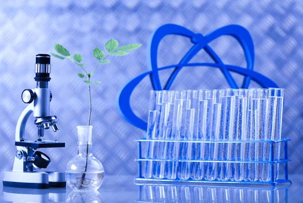 Kémia berendezések, növények laboratóriumi üvegeszközök — Stock Fotó