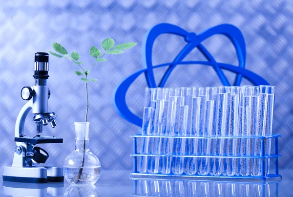 Chemie apparatuur, planten laboratoriumglaswerk — Stockfoto