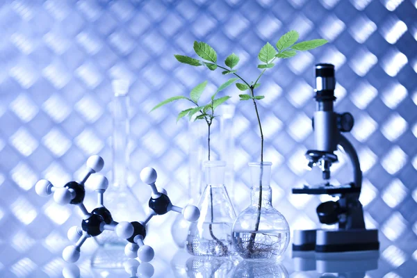 Equipos de química, cristalería de laboratorio de plantas — Foto de Stock