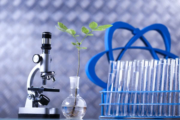 Equipos de química, cristalería de laboratorio de plantas — Foto de Stock