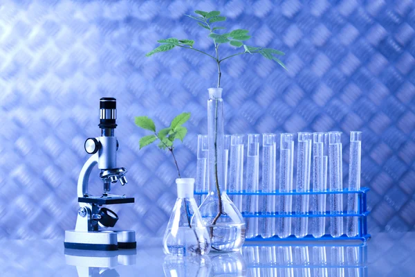 Chemie apparatuur, planten laboratoriumglaswerk — Stockfoto