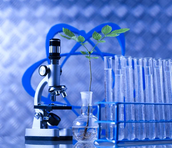 Chemie apparatuur, planten laboratoriumglaswerk — Stockfoto