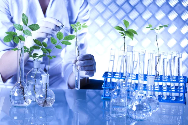 Laboratory pipette in scientist hand — Stock Photo, Image