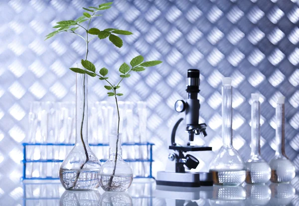 Equipos de química, cristalería de laboratorio de plantas Imagen de stock
