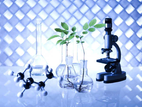 化学機器、植物研究室のガラス ストックフォト