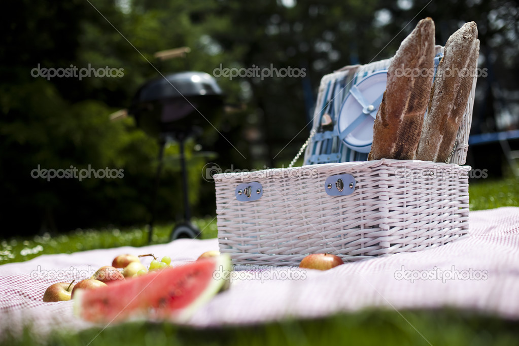 Picnic on the grass — Stock Photo © JanPietruszka 28440309