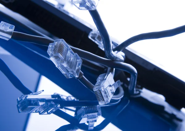 Internet Network cables — Stock Photo, Image