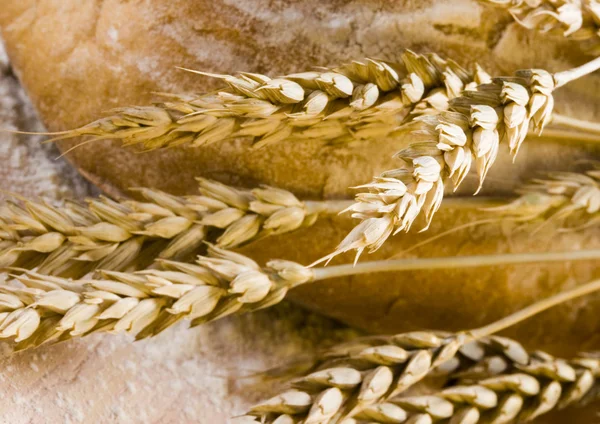 Bread composition — Stock Photo, Image