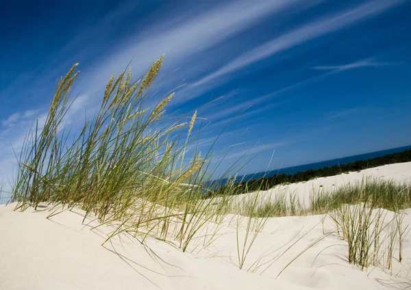 Sand Dunes — Stock Photo, Image