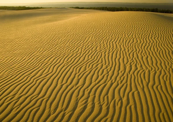 Dunas de arena — Stockfoto