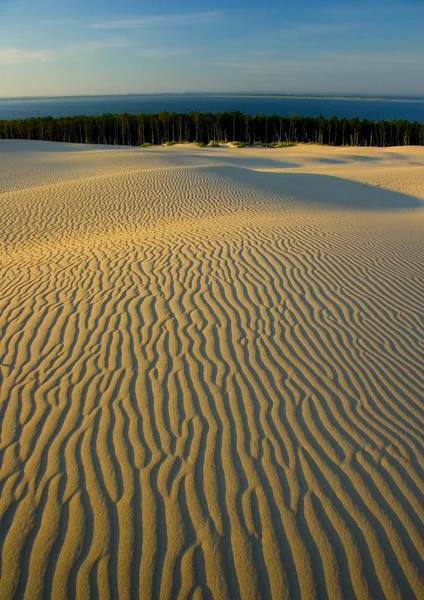 Dunas de arena — Stockfoto