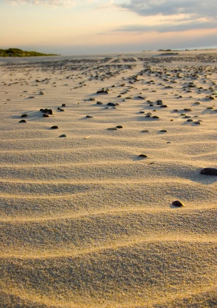 Dunes de sable — Photo