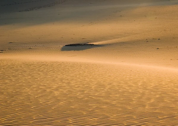 Dunas de arena — Foto de Stock