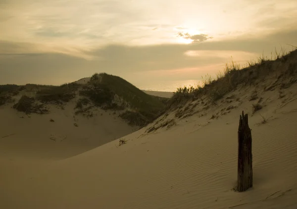 Dunes de sable — Photo