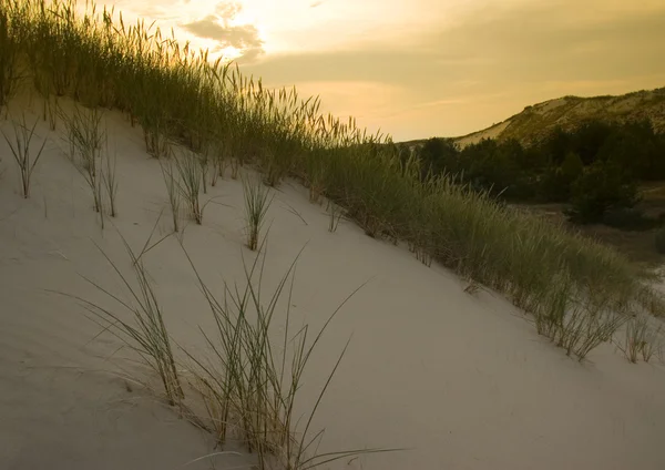 Sand Dunes — Stock Photo, Image