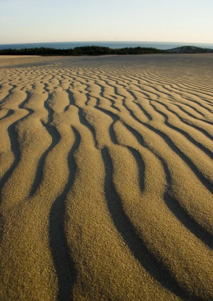 모래 언덕 — 스톡 사진
