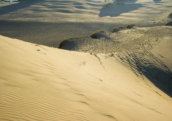 Sand Dunes — Stock Photo, Image