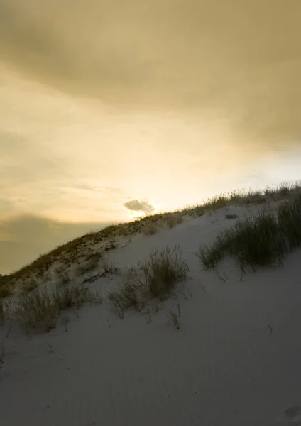 Dunas de areia — Fotografia de Stock