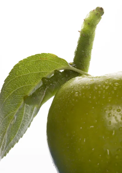 Green apple with worm — Stock Photo, Image