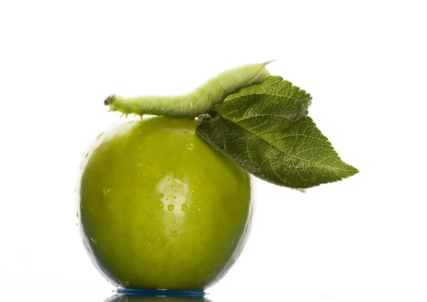 Grönt äpple med mask — Stockfoto