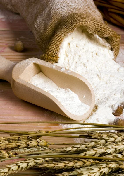 Flour with corn — Stock Photo, Image