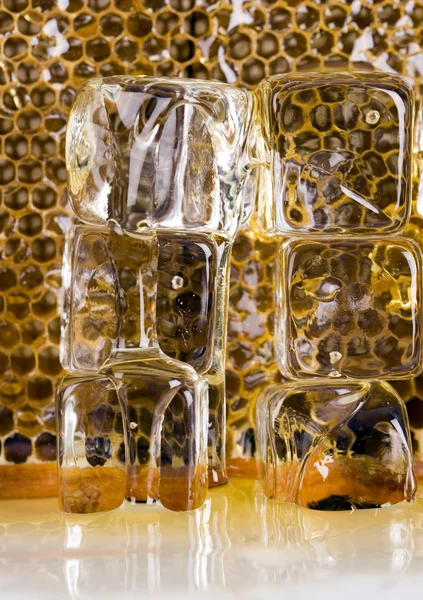 Honey with ice — Stock Photo, Image
